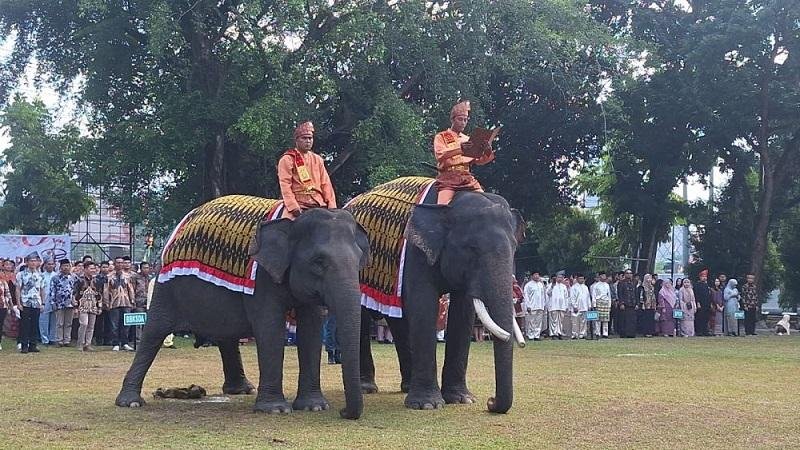 BBKSDA Riau Bawa Gajah dan BPBD di Lokasi Karhutla, Upacara HUT RI Kembali ke Alam