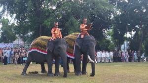 BBKSDA Riau Bawa Gajah dan BPBD di Lokasi Karhutla, Upacara HUT RI Kembali ke Alam