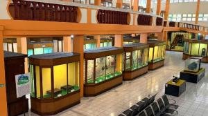 Ini Sejarah Heroik Sang Nila Utama yang Namanya Diabadikan di Museum Riau