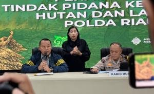 Polda Riau Usut 3.387 Hektare Lahan Terbakar, Tangani 58 Kasus Karhutla dan Tetapkan 61 Tersangka